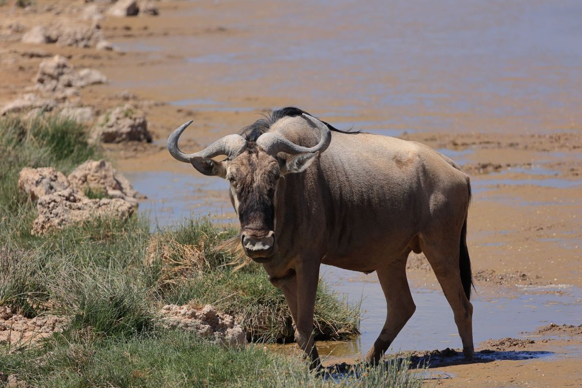 15 Best Getaway Places in Kajiado